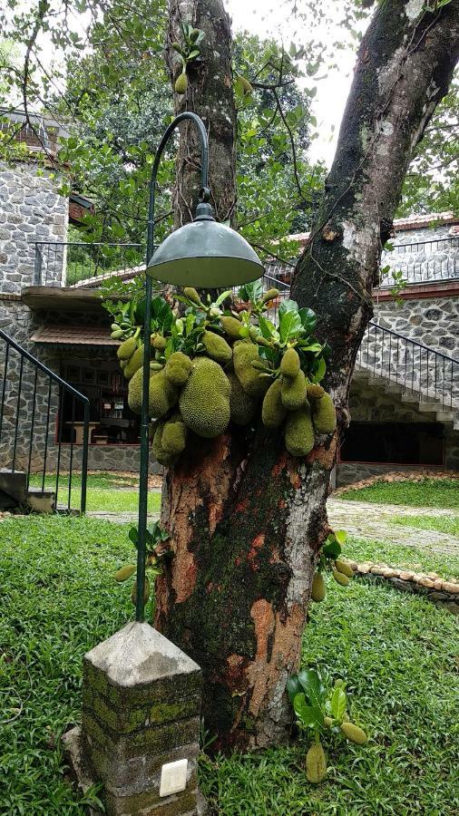 Bed and Breakfast Wildernest Thekkady Exterior foto