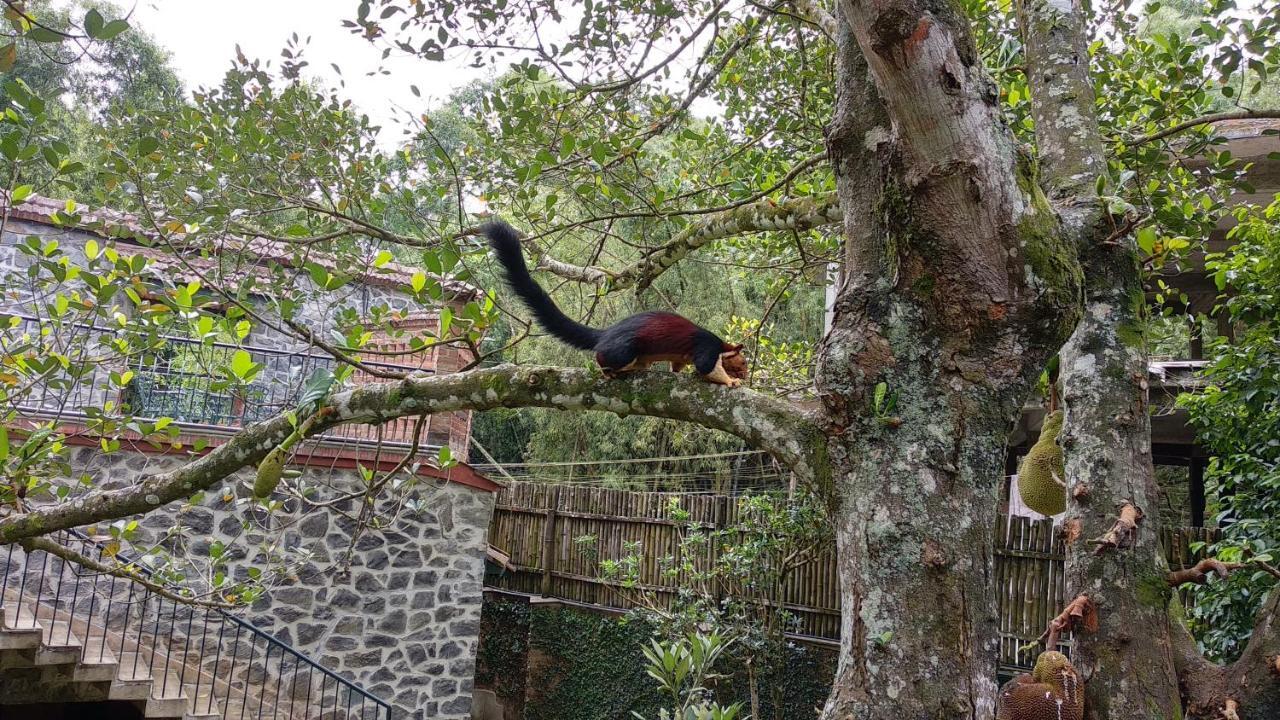 Bed and Breakfast Wildernest Thekkady Exterior foto